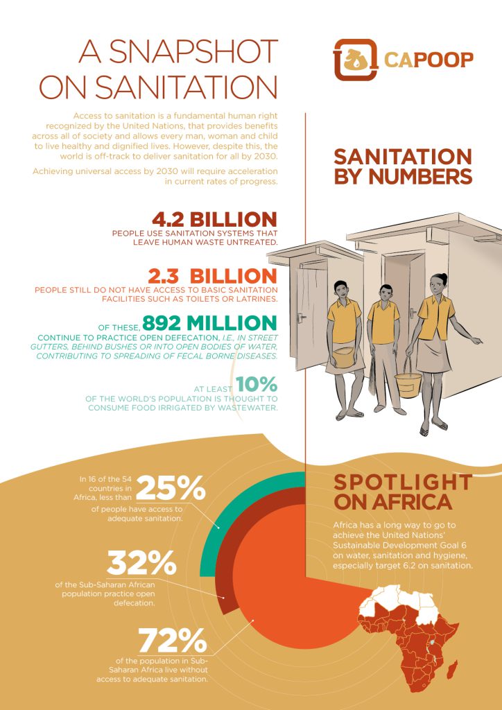 A snapshot on sanitation